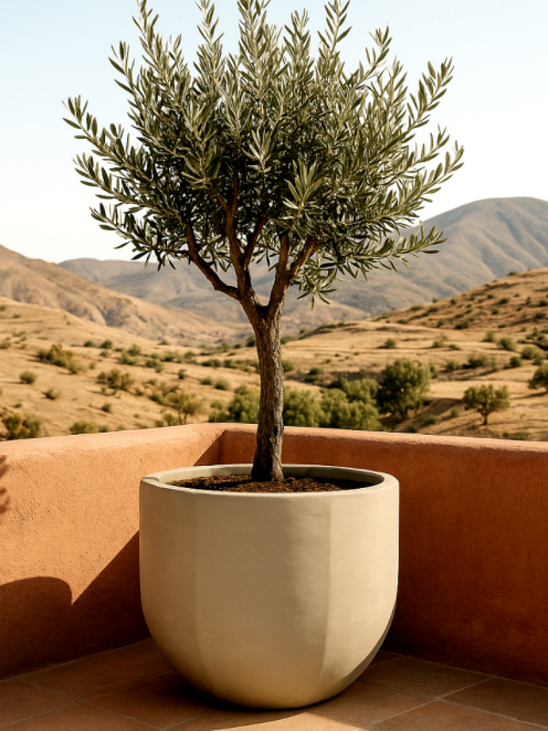 Bali Terracotta Pot