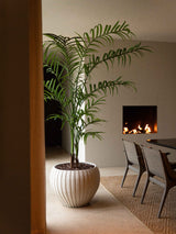 Endo Terracotta Pot