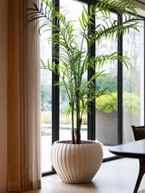 Endo Terracotta Pot