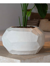 Lima Terracotta Pot