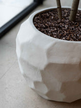 Kai Terracotta Pot