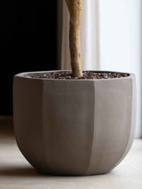 Bali Terracotta Pot